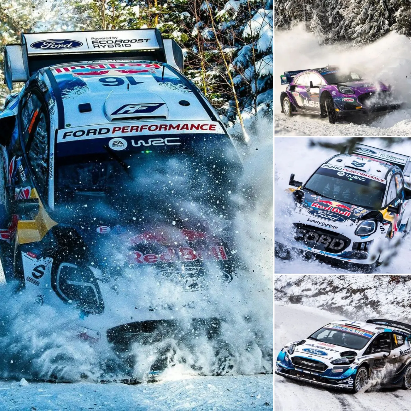 Girardo & Co Delivers Christmas Perfection A Martini and a Ford Focus WRC