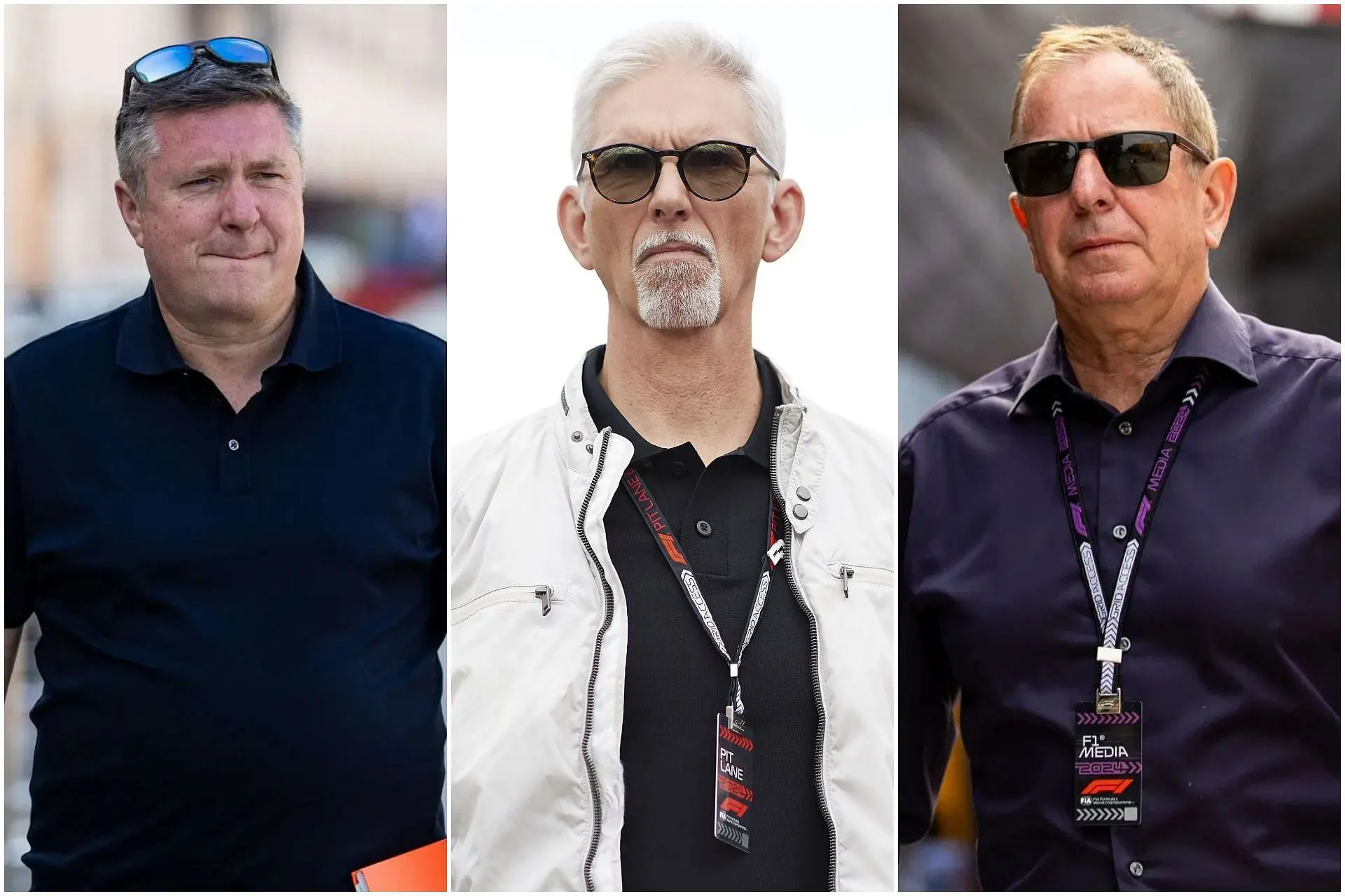 F1 pundit feels Martin Brundle and David Croft could be next to leave Sky  Sports if Damon Hill was 'pushed out'