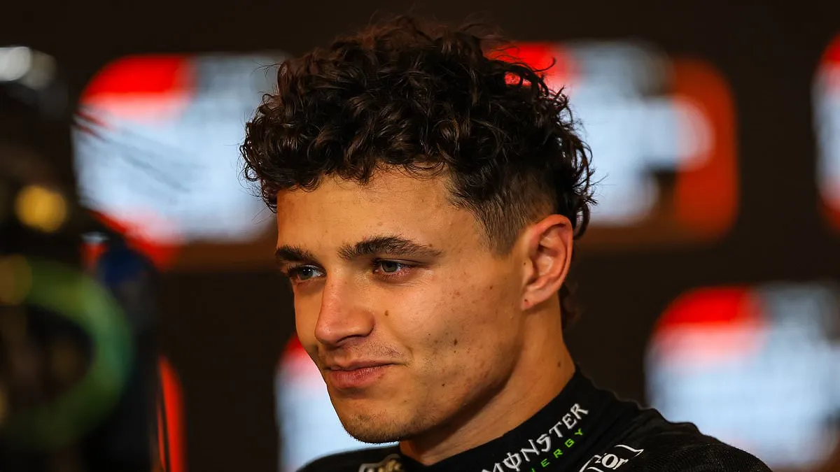 Lando Norris admits he drove like 'an idiot' last year as the Formula One  star pledges to 'get my elbows out' for world championship in 2025 | Daily  Mail Online